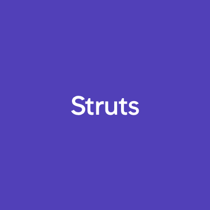 Struts_2x