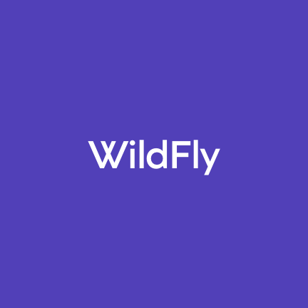 WildFly_2x